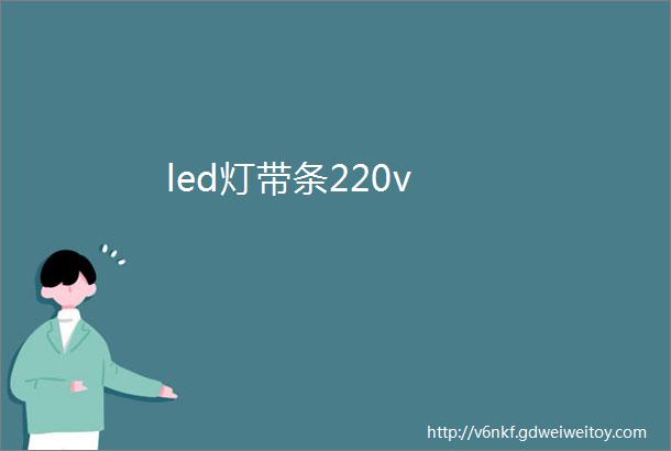 led灯带条220v